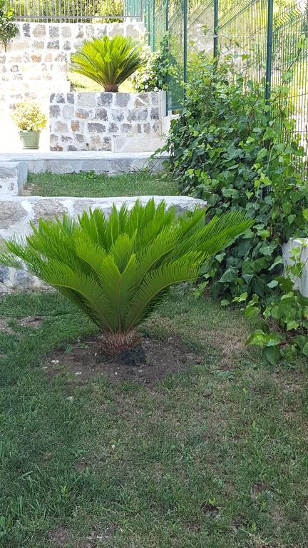 Villa Soleada Herceg Novi Exterior foto